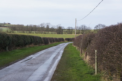 Walk photo