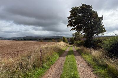 Walk photo