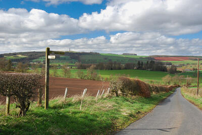 Walk photo