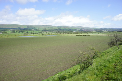 Walk photo