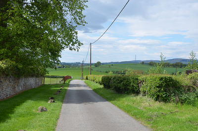 Walk photo
