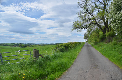 Walk photo