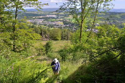 Walk photo