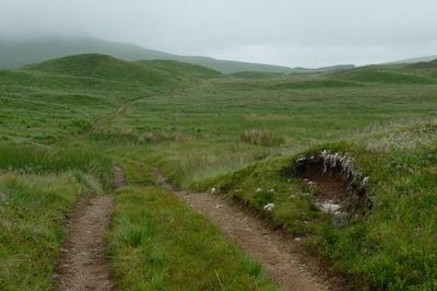 Walk photo