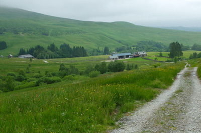 Walk photo
