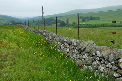 Walk photo