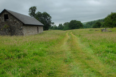 Walk photo