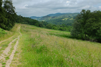 Walk photo