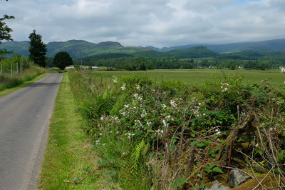 Walk photo