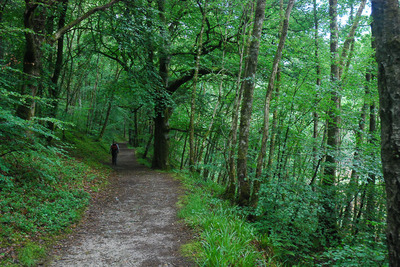 Walk photo