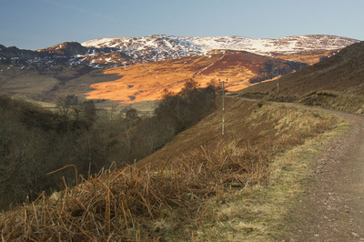 Walk photo