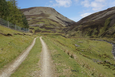 Walk photo