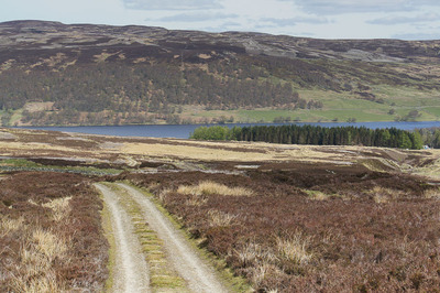 Walk photo