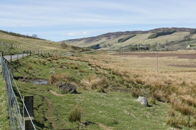 Walk photo