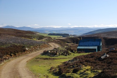 Walk photo
