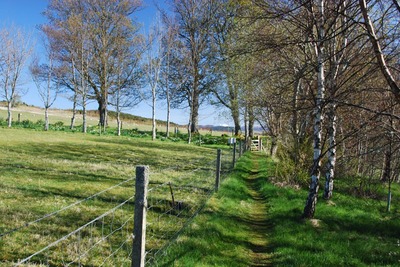 Walk photo