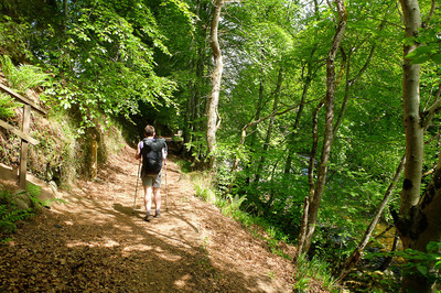 Walk photo