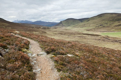 Walk photo