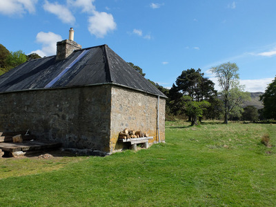 Walk photo