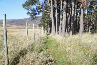 Walk photo