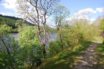 Walk photo