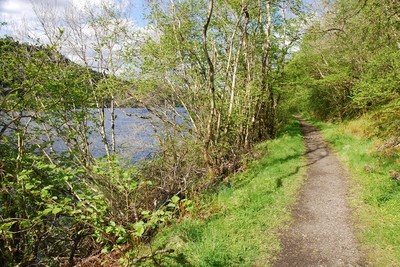 Walk photo