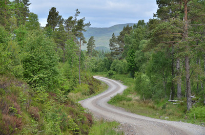 Walk photo