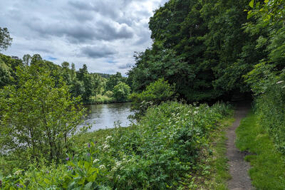 Walk photo