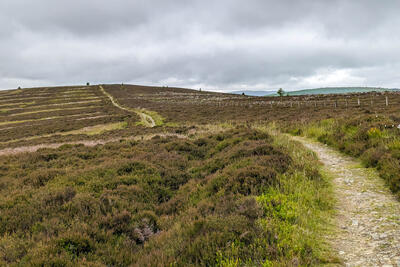 Walk photo