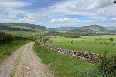 Walk photo