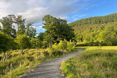 Walk photo