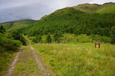 Walk photo