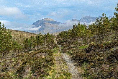 Walk photo