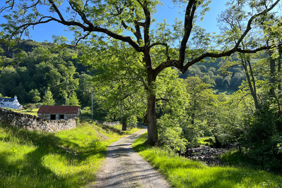Walk photo