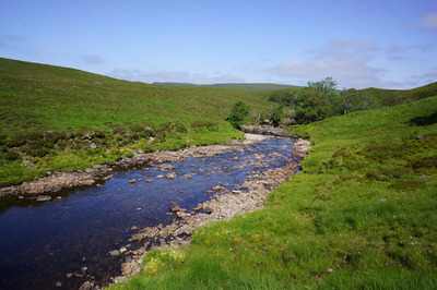 Walk photo
