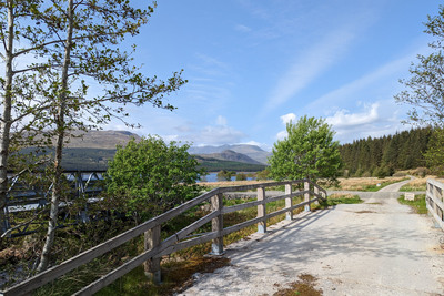 Walk photo