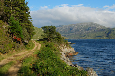 Walk photo