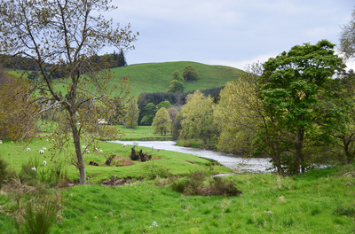Walk photo