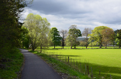 Walk photo