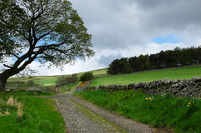 Walk photo