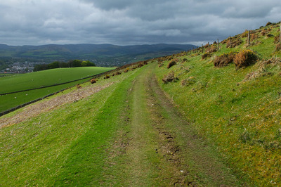 Walk photo
