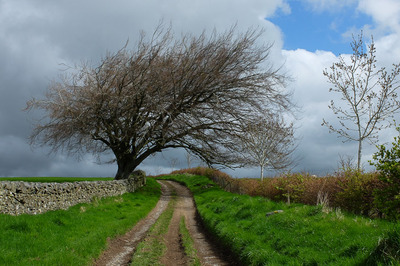 Walk photo