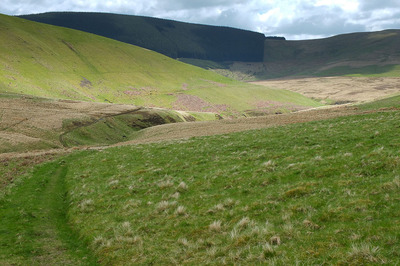 Walk photo