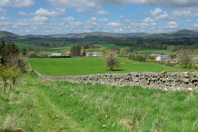 Walk photo