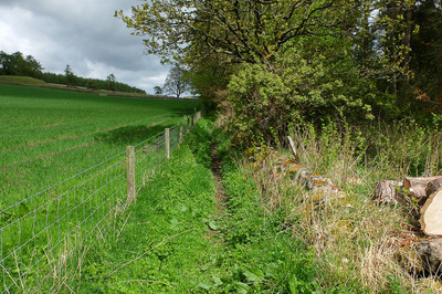 Walk photo