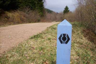 Walk photo