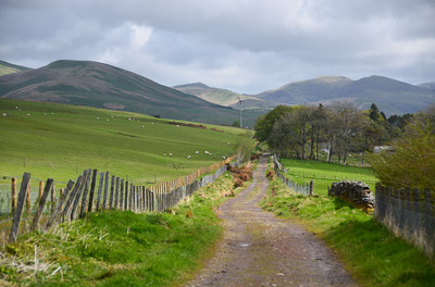 Walk photo