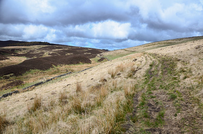 Walk photo