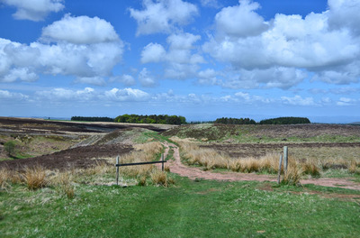 Walk photo