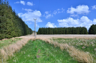 Walk photo